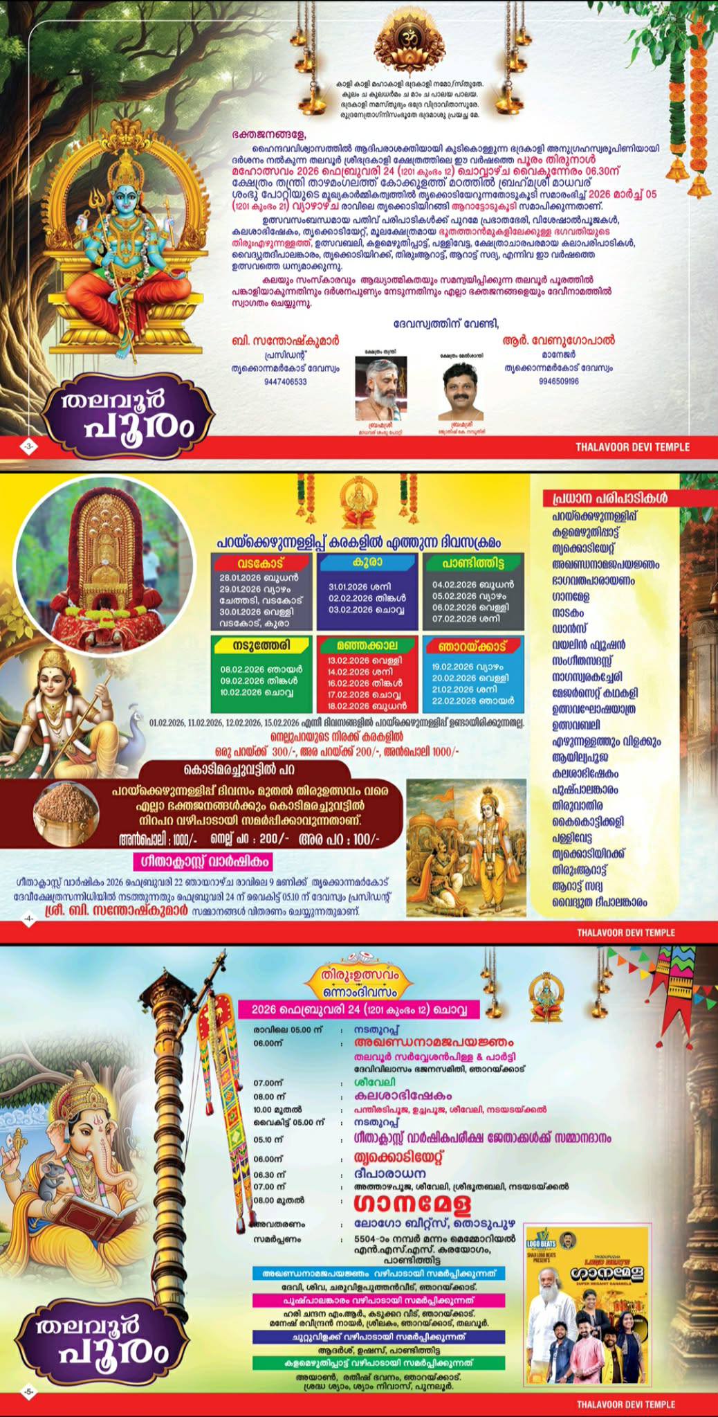 Decorated elephants during Thalavoor Pooram at Thalavoor Devi Temple