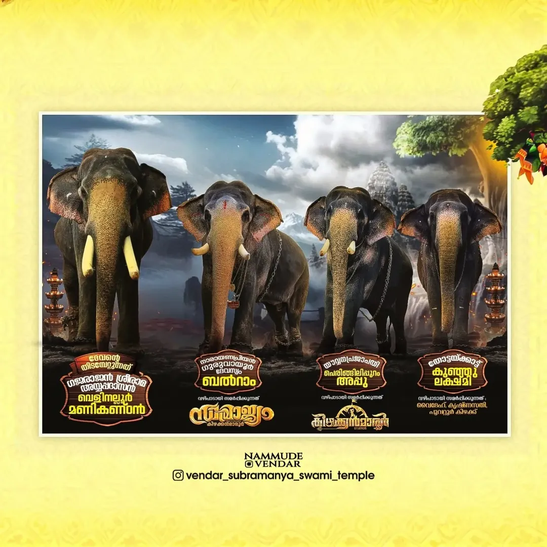 Elephants participating in Vendar Thaipooyam procession
