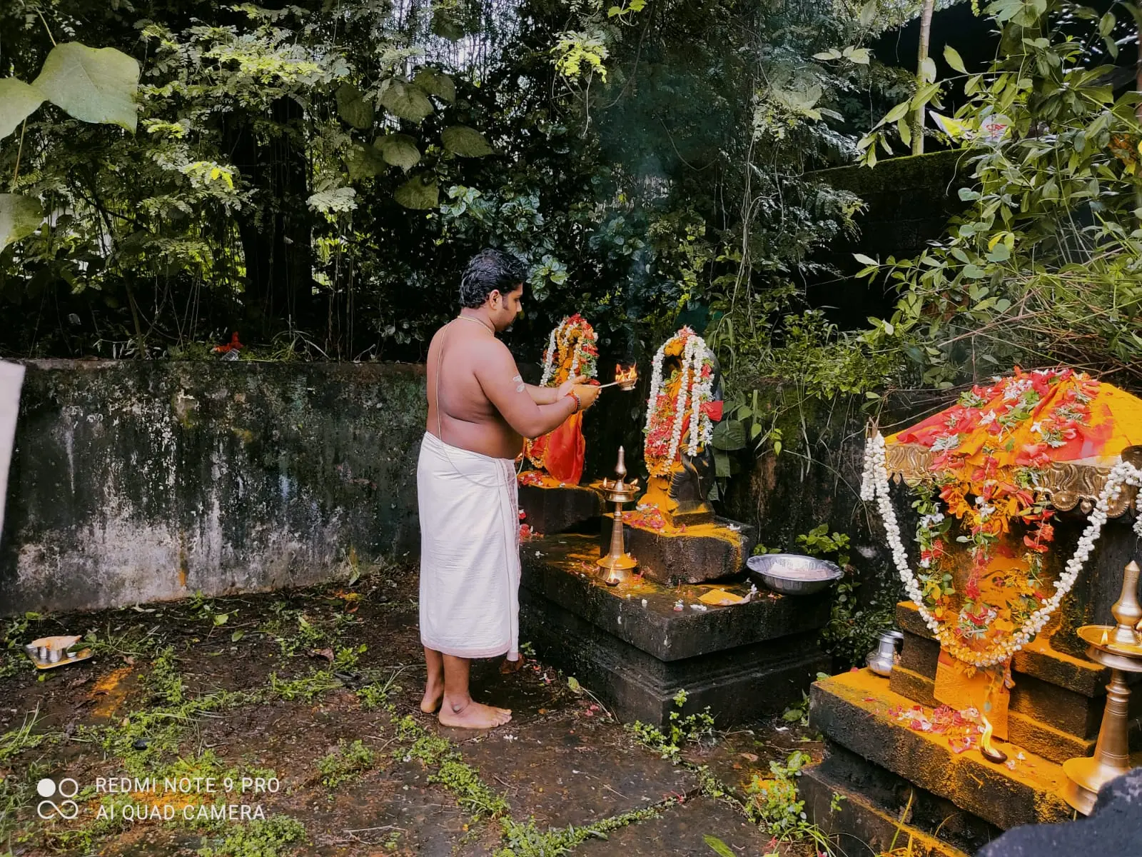 Nagadaivangal, Ayilyam Pooja & Noorum Paalum Vazhipadukal at Manarcaud Devi Temple Kottayam