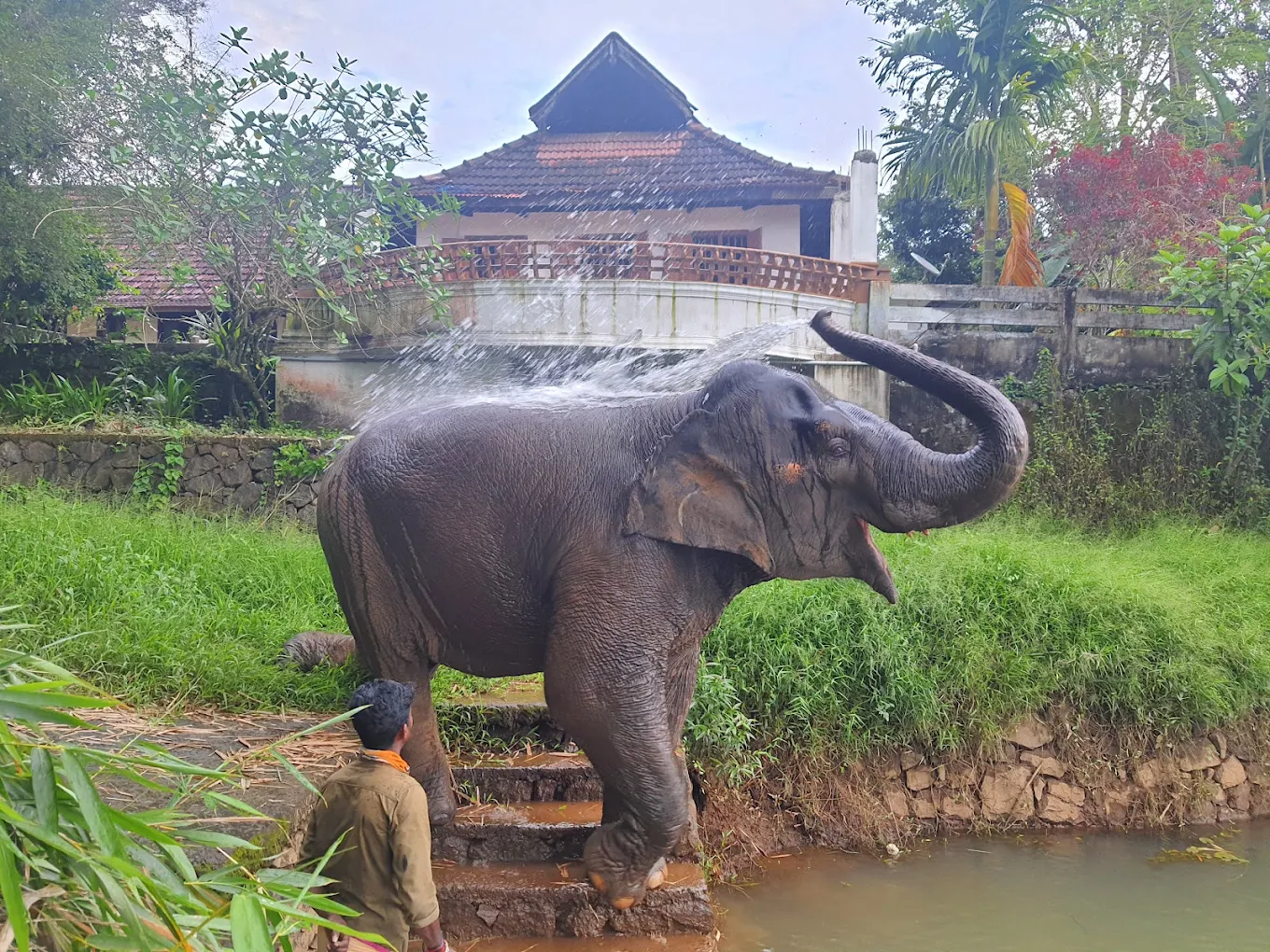 Ganapathy idol retrieved from pond at Ganapathiyar Kovil
