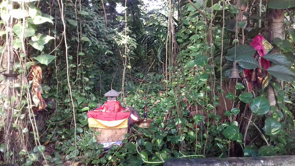 Images of Kottayam Ayilyam Kaavu Nagaraja Temple Temple