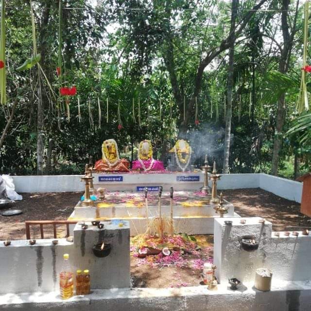 Panachithuruthil Sarpa Kavu  Temple in Kerala