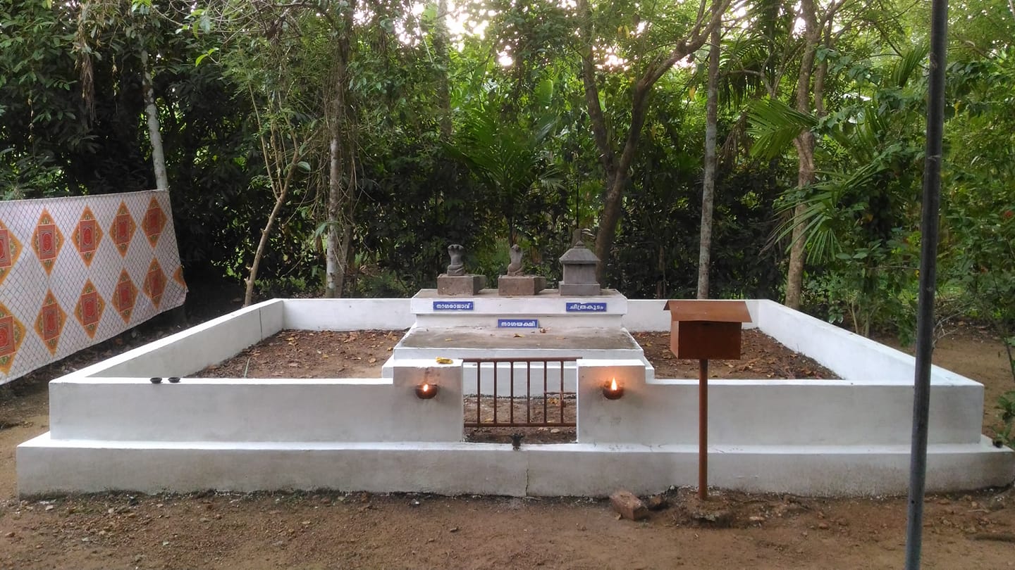 Images of Kottayam Panachithuruthil Sarpa Kavu Temple