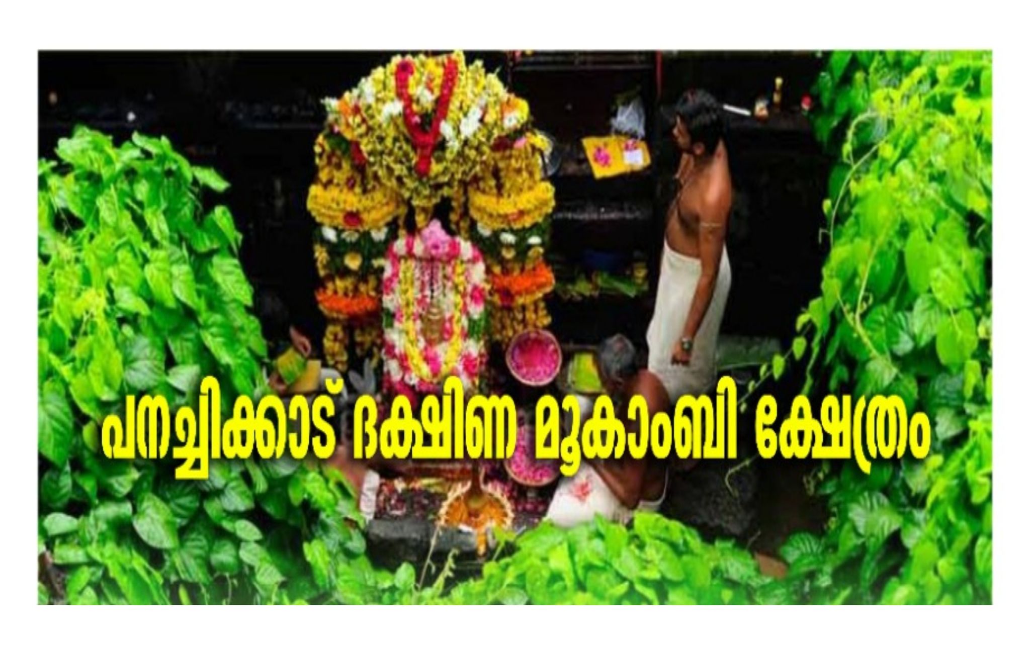 Images of Kottayam Panachikkad Saraswathi TempleTemple