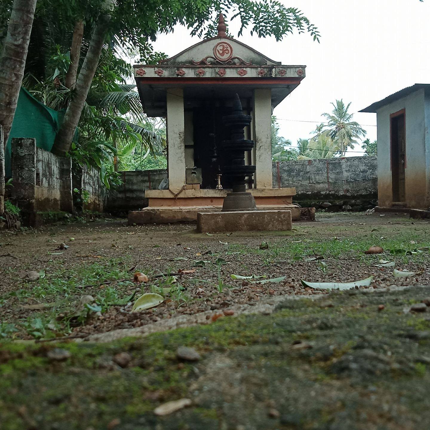 Thekkedathu Bhadrakali Temple