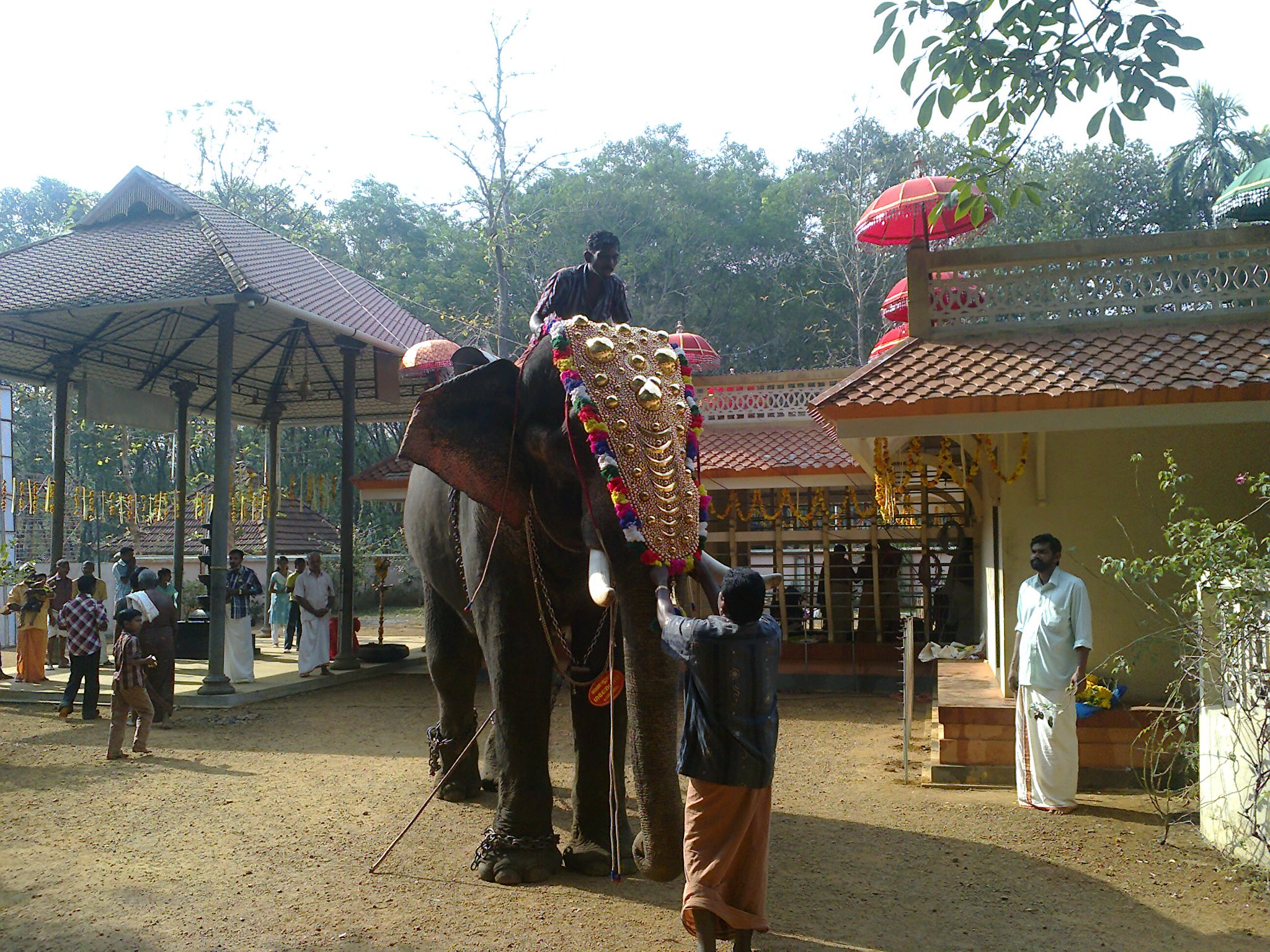 Images of Kottayam Ponmala Devi  TempleTemple