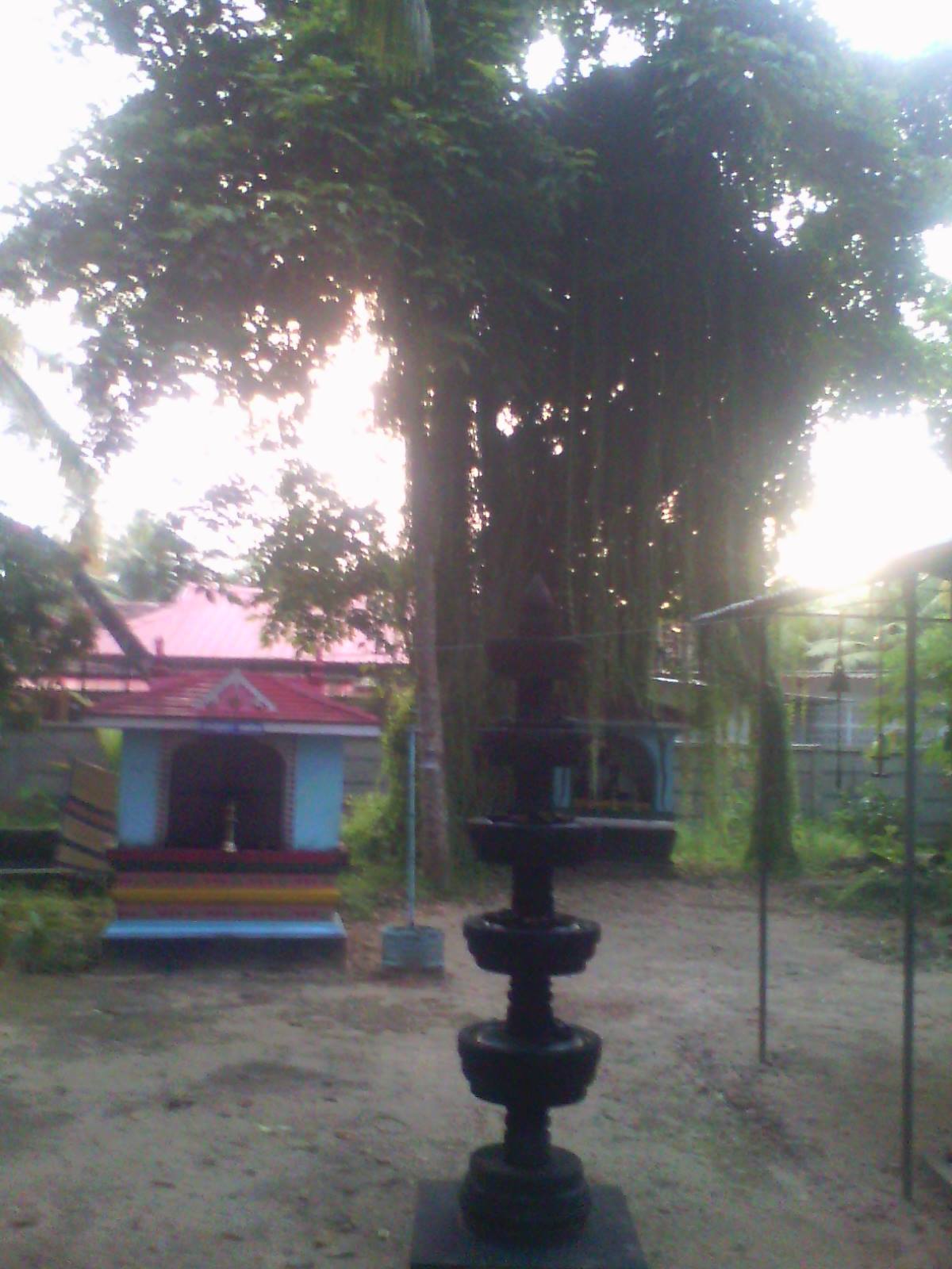  Vaikkathusseril Sree Gandharva Nagaraja Bhadrakali  TempleKottayam Dresscode