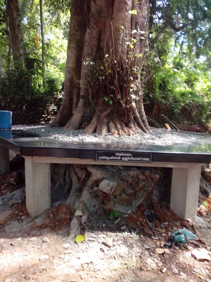 Images of Kottayam  Kummannoor Sree Krishna Swami  TempleTemple