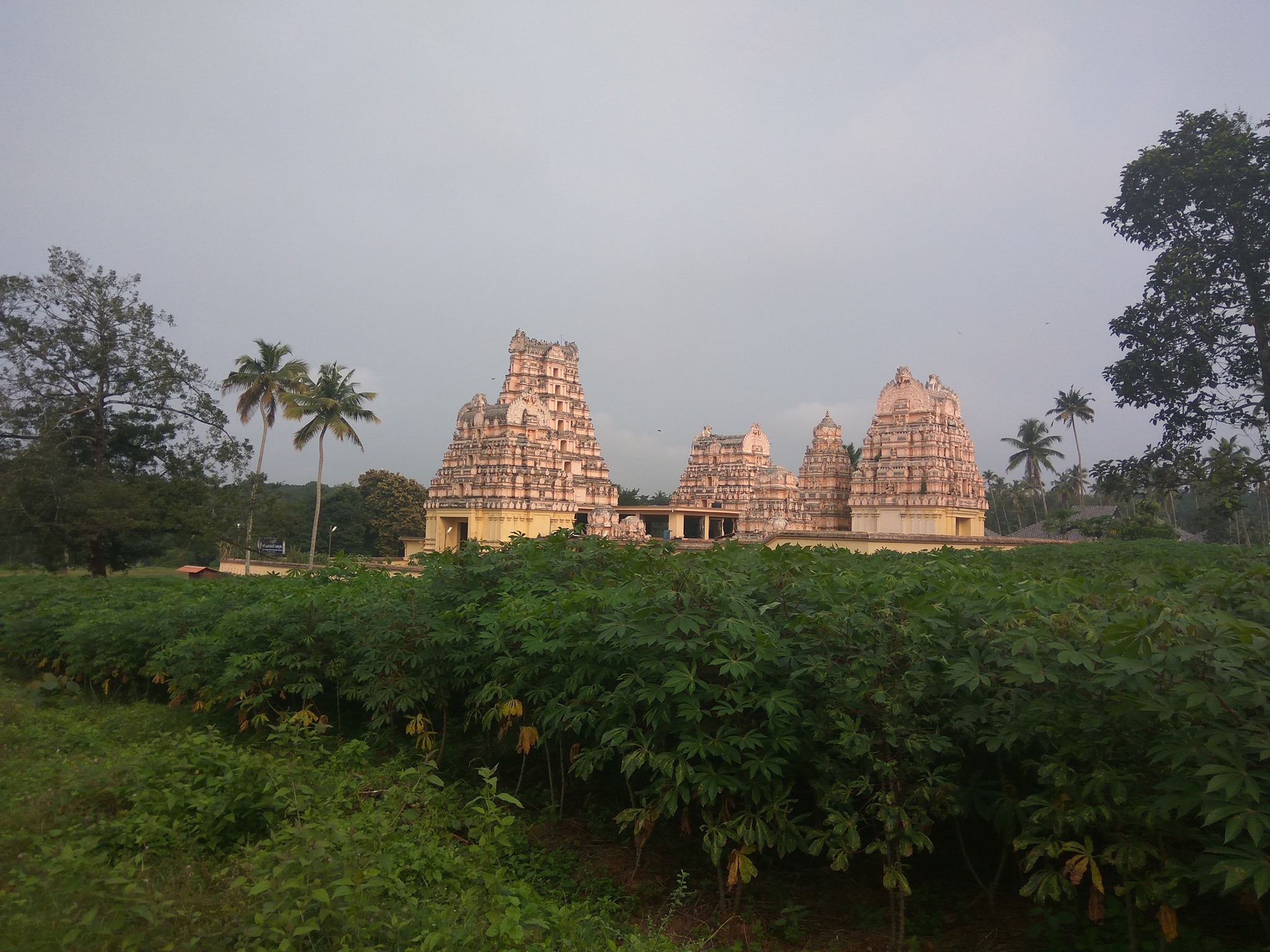 Images of Kottayam   Parappukad Sree Mahadevi Temple