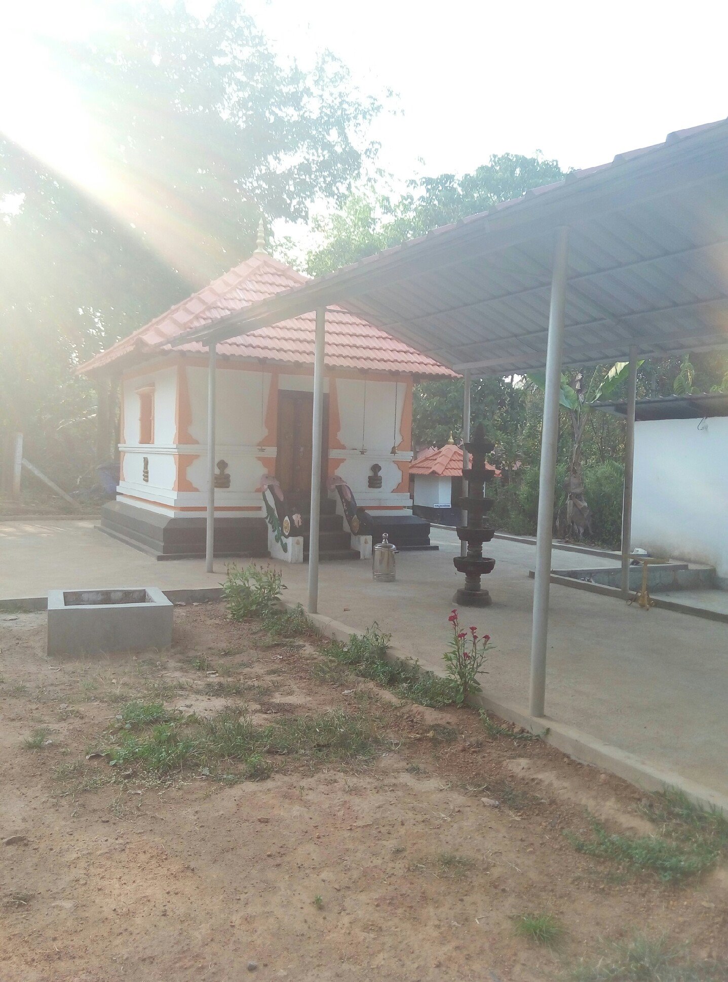 Images of Kottayam Manakkapady Sree Nagaraja TempleTemple