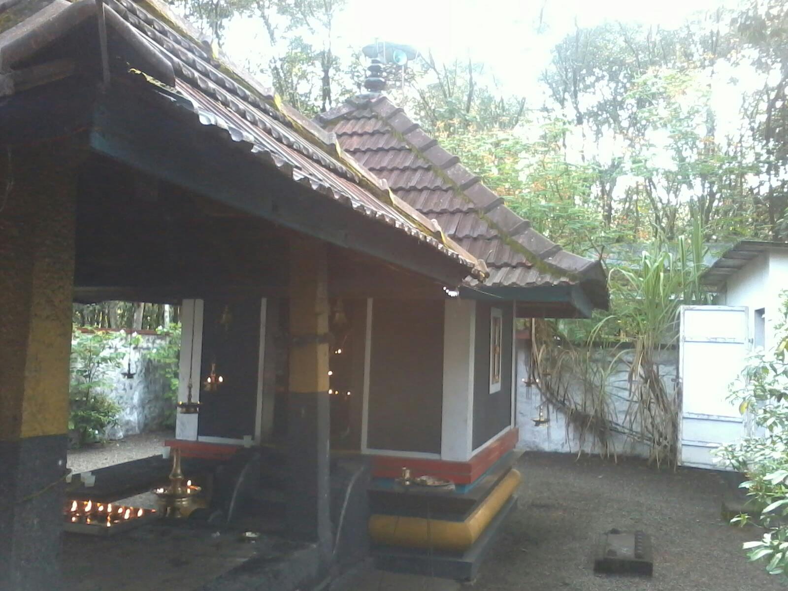 Images of Kottayam Poothakuzhy Sree Krishna  Temple