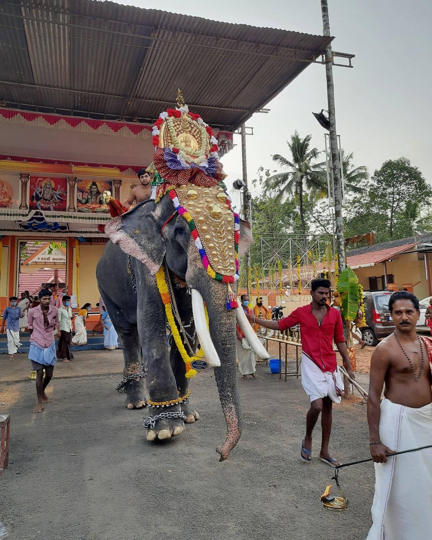  Velloothuruthy Bhagavathy  TempleKottayam Dresscode