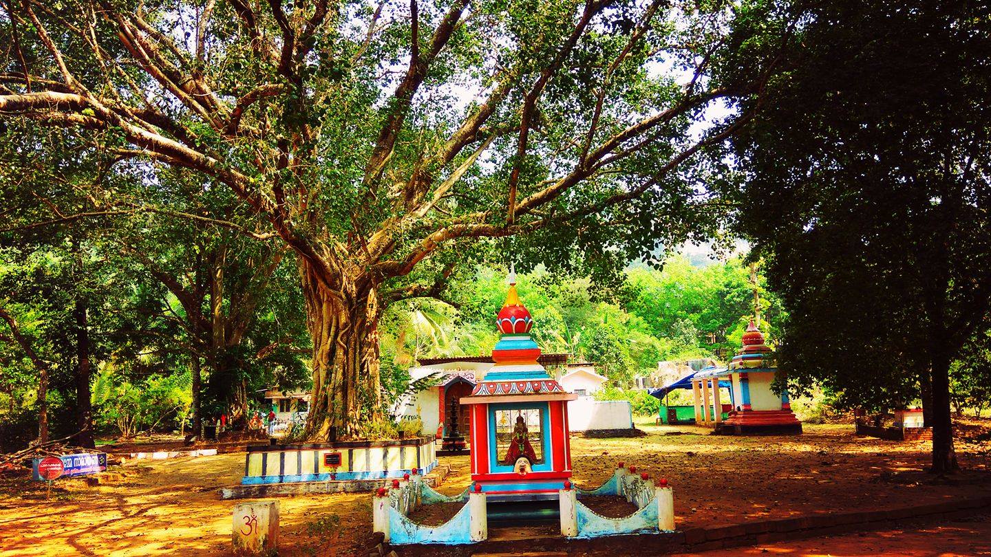 Thalumkal Sree Mahadevi Temple Kottayam