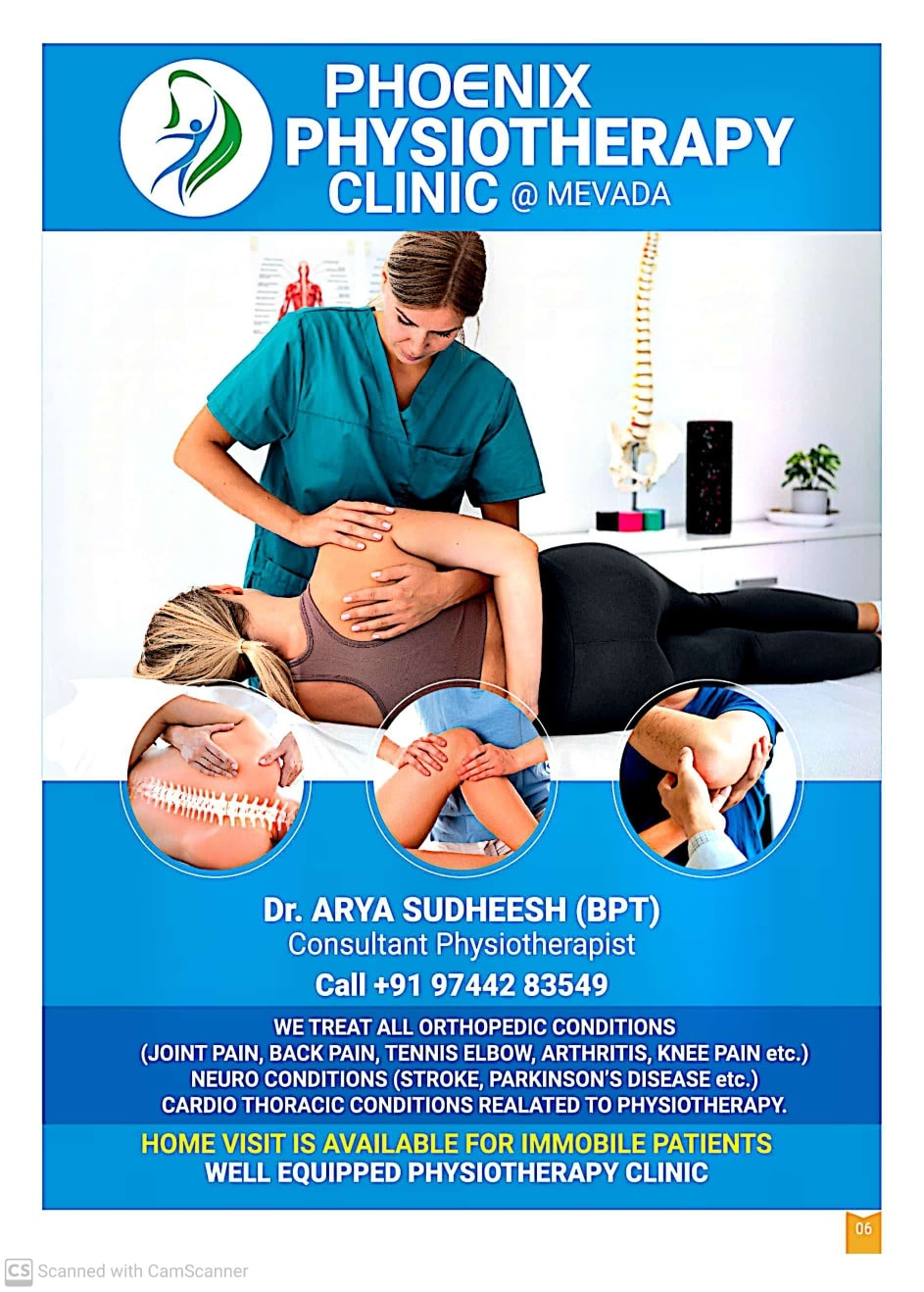 Temple elephant procession during Mevada Pooram celebration