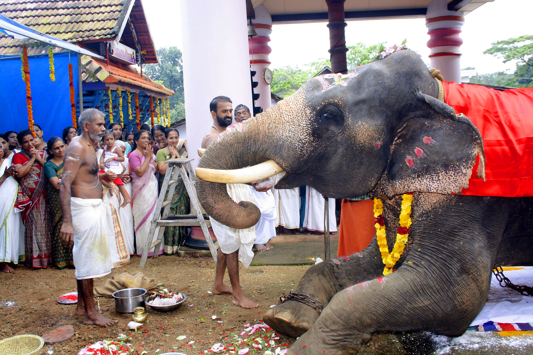 Vinayaka Chaturthi Sree Mahadeva Temple Anthinad Kottayam