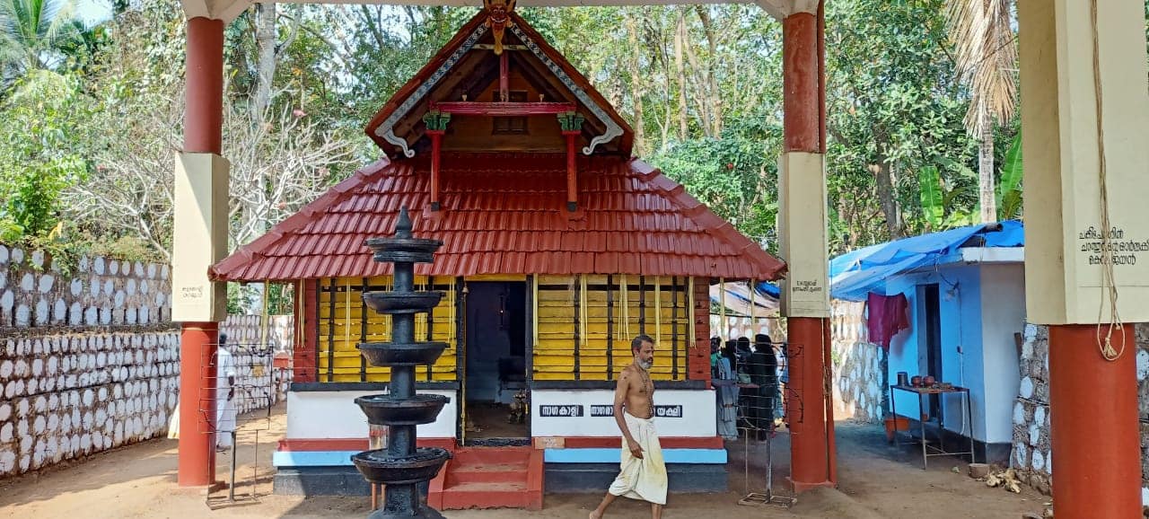 Sree Nelliyadi Nagakali  Temple Kozhikode