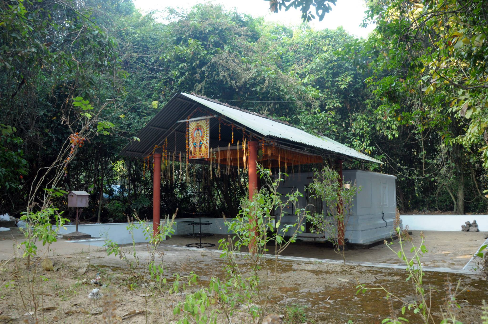 Images of Kozhikode Sree Kuruvangad Siva  Devi Temple