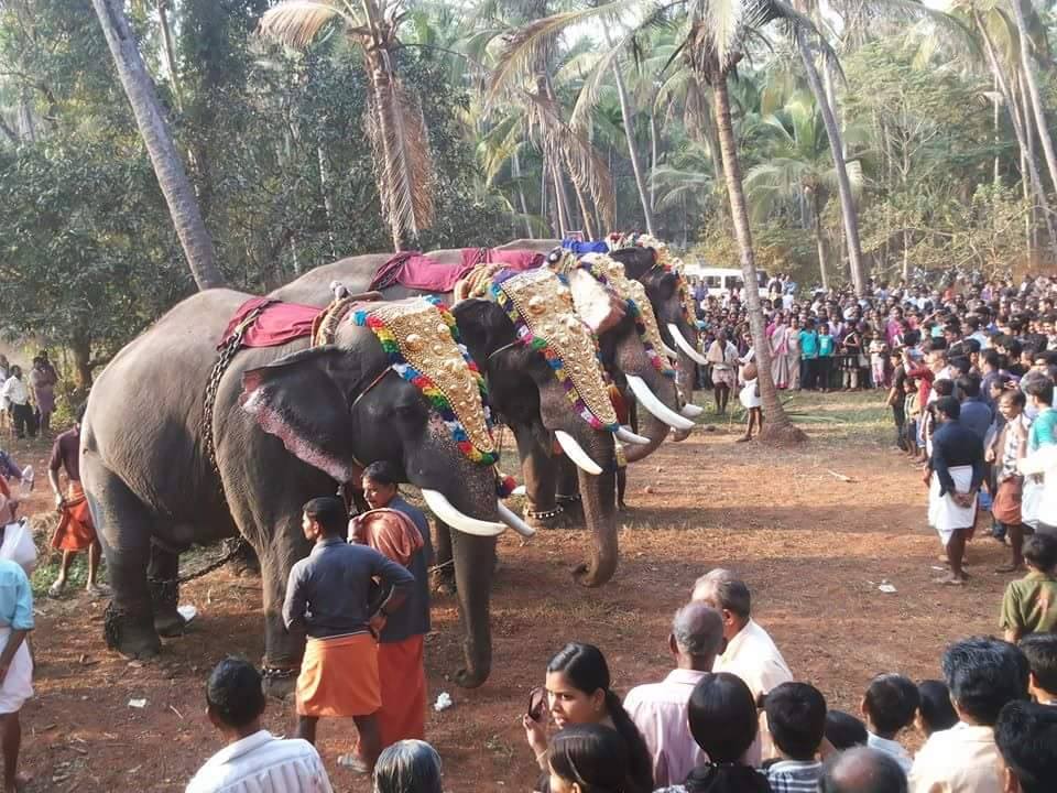 Images of Kozhikode Kanjilassery Maha Siva  Temple