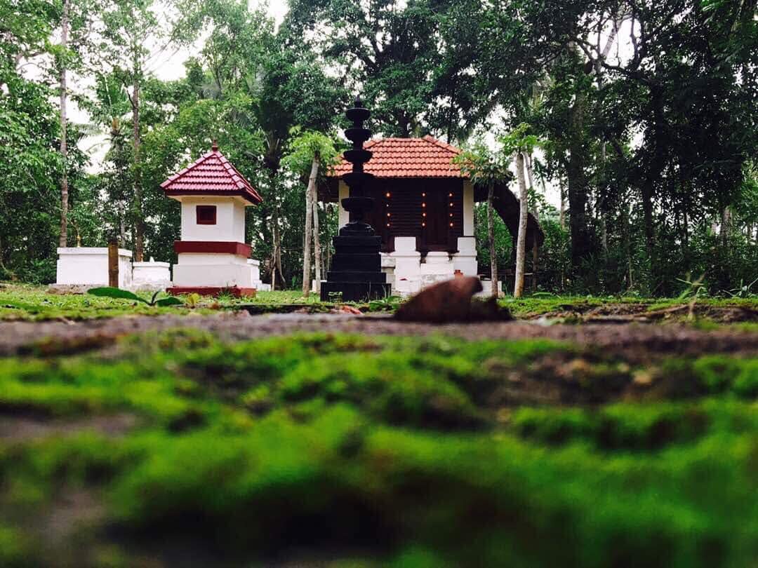 Images of Kozhikode Nenmenikunummel Sri Bhagavathy   Temple