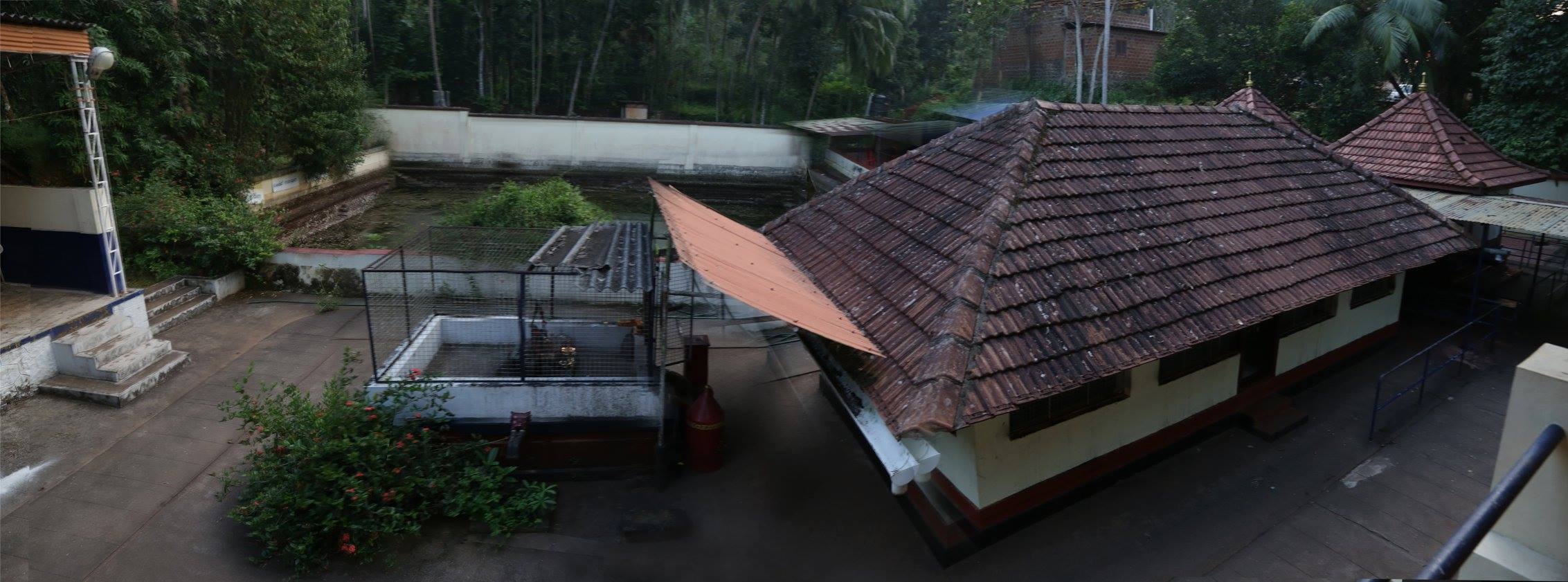 Sree Areekulangara Devi   Temple Kozhikode Dresscode