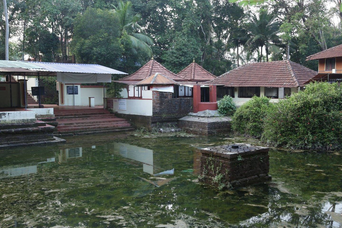 Images of Kozhikode Sree Areekulangara Devi   Devi Temple