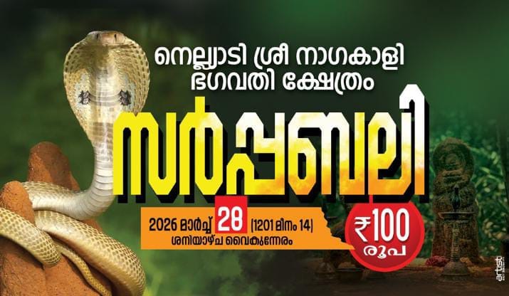 Sarpabali  Nelliyadi Nagakali Bagavathi Temple Kozhikode Kerala