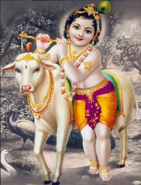 ശ്രീകൃഷ്ണ അഷ്ടോത്തര ശതനാമാവലി Sri Krishna 108 Ashtottara Shatanamavali