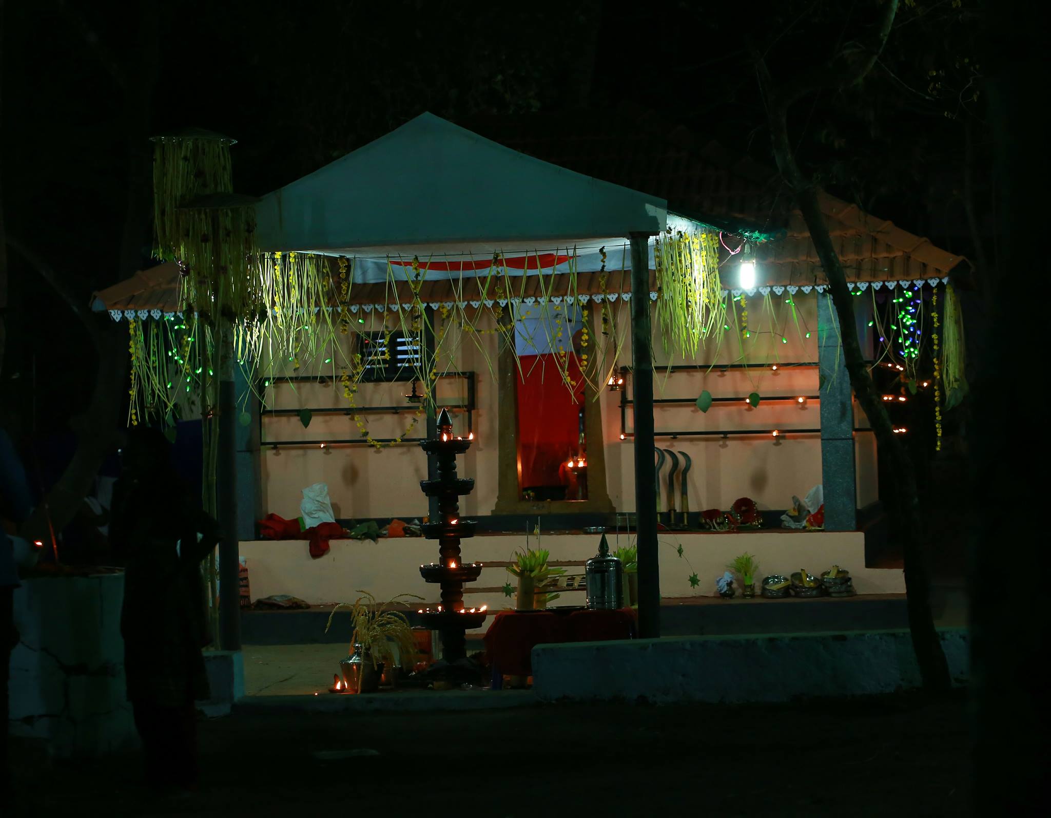  Naduvath Puthenkunnu Bhagavathy    is an Shakthi devi in Hinduism