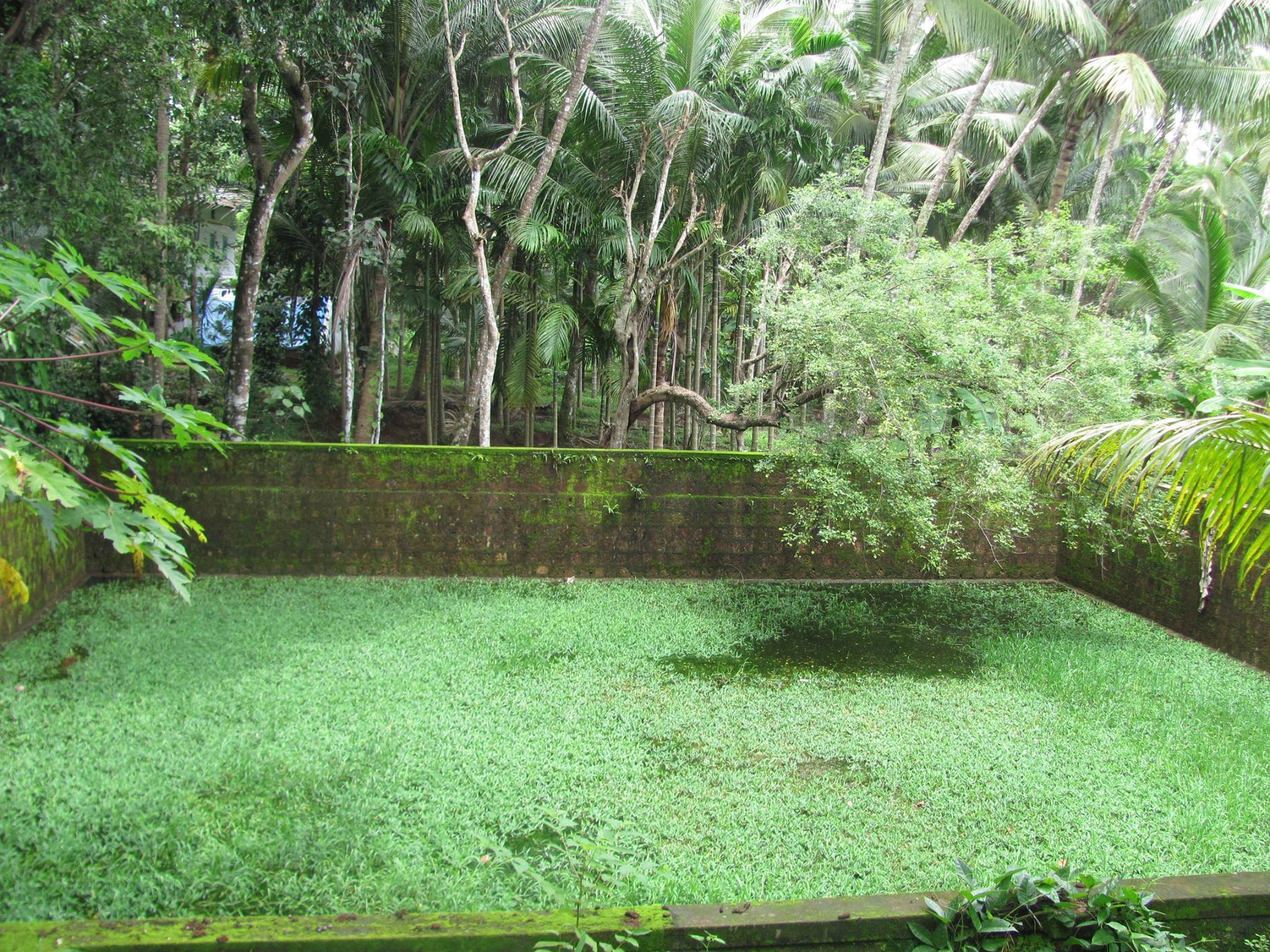 Thriprangode Siva Temple malappuram Dresscode