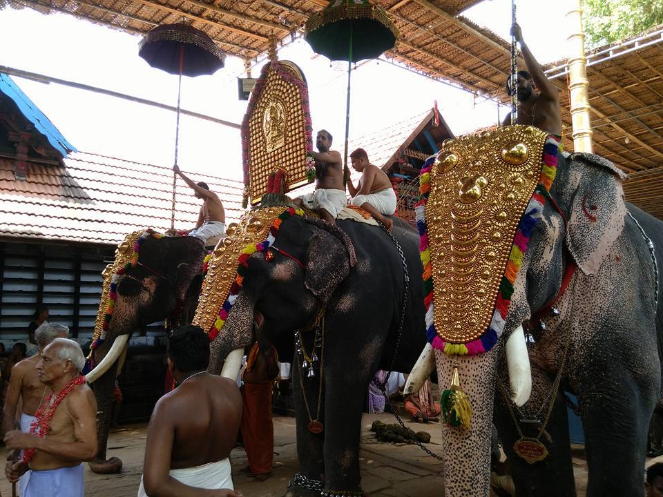 Images of Malappuram Thirumandhamkunnu Bhagavathi Temple