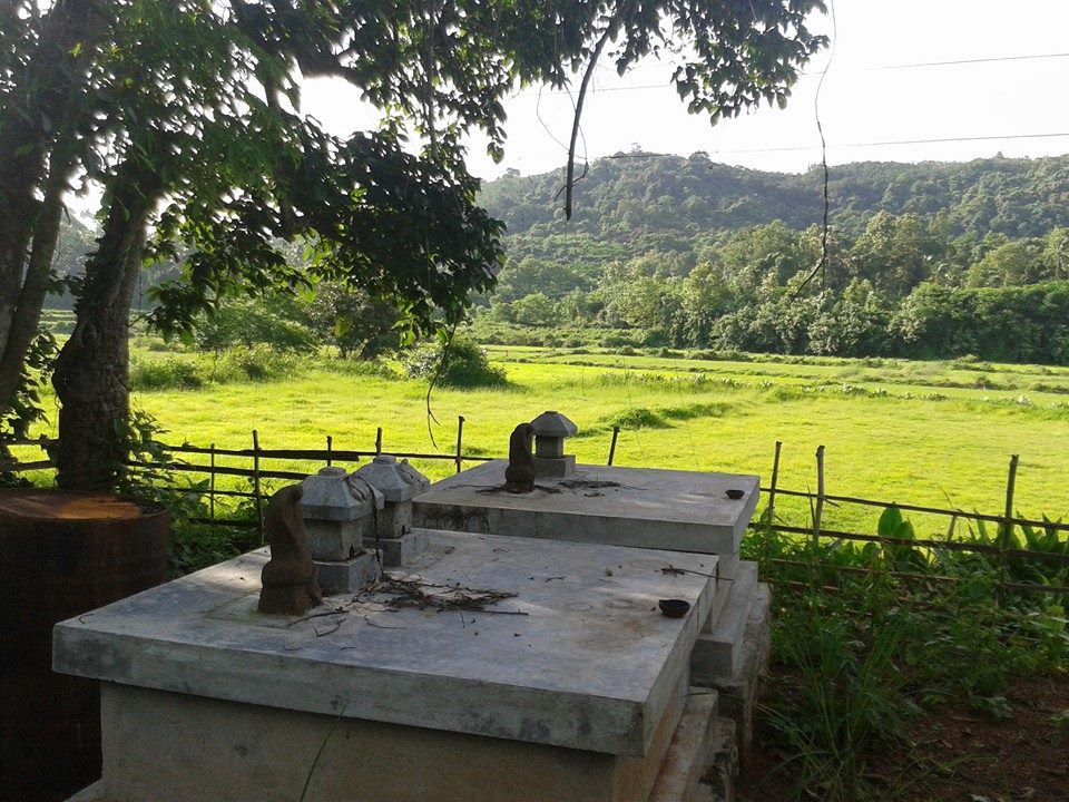 Images of Palakkad Nagalassery manalarukavu bagavathi temple 