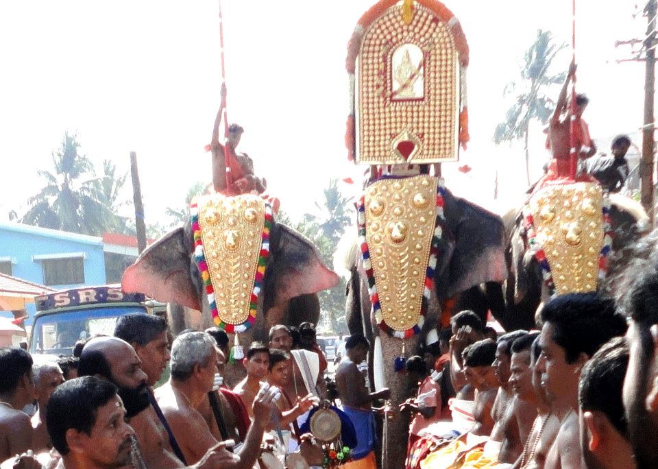 Images of Palakkad    Thamarakulam Ayyappan  Temple