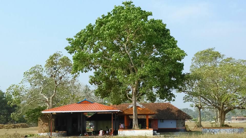 Images of Palakkad Sri Koyamkavu Bhagavathy Temple