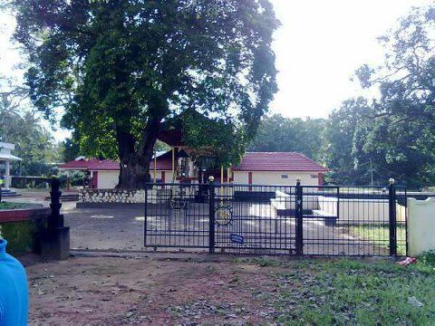 Images of Palakkad Amakkavu Bhagavathy Temple