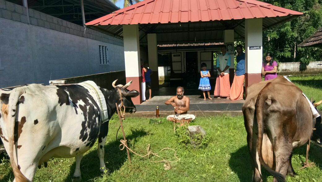 Sree Vellilapetty Vishnu  temple in Kerala