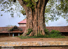 Images of Palakkad Panniyur Devi Temple