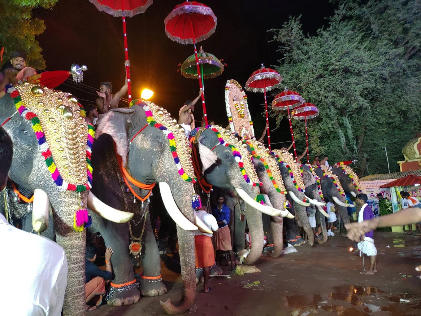 Traditional oil lamps lit during rituals at Sree Krishna Temple