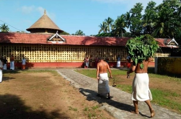 First paddy harvest celebration at Kerala temple with Puthari ritual