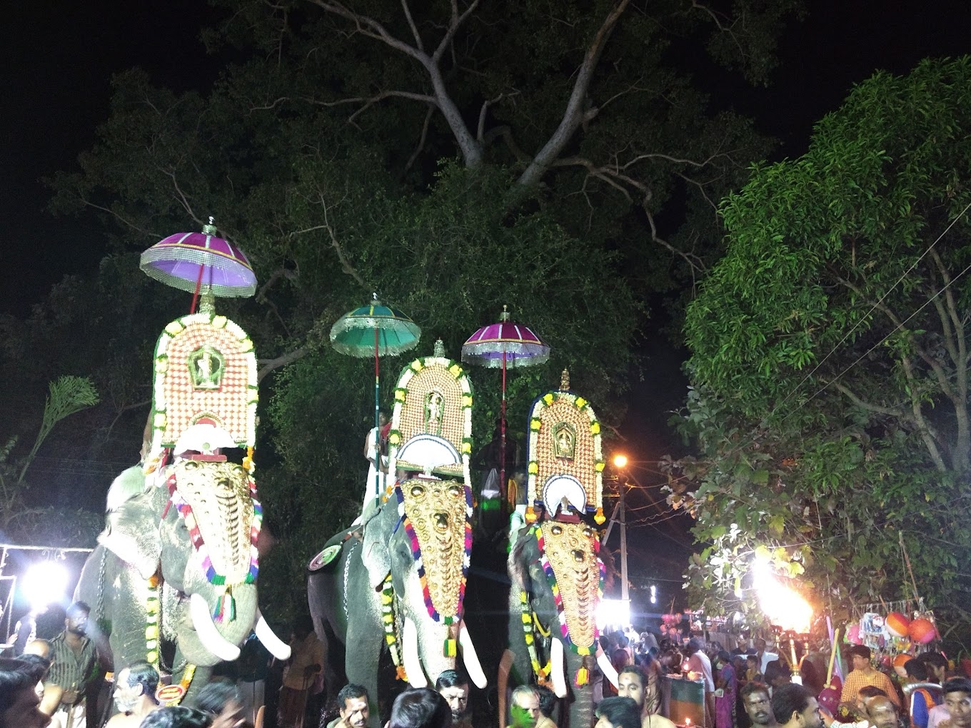 Aarattu Mahotsavam Azhakotha Sree Maha Deva Temple Kuzhalmannam Palakkad Kerala