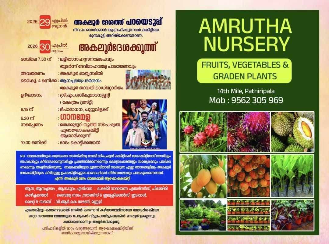 Evening Deeparadhana and lamp procession at Akalur Thalappoli Mahotsavam 2026