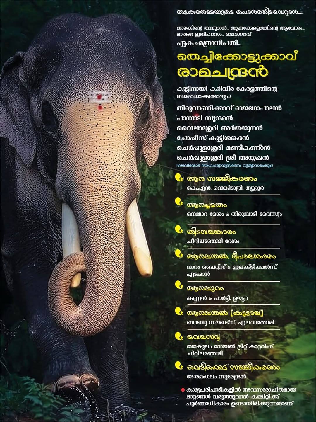 Fireworks lighting up the night sky during Cherunetturi Vela Mahotsavam