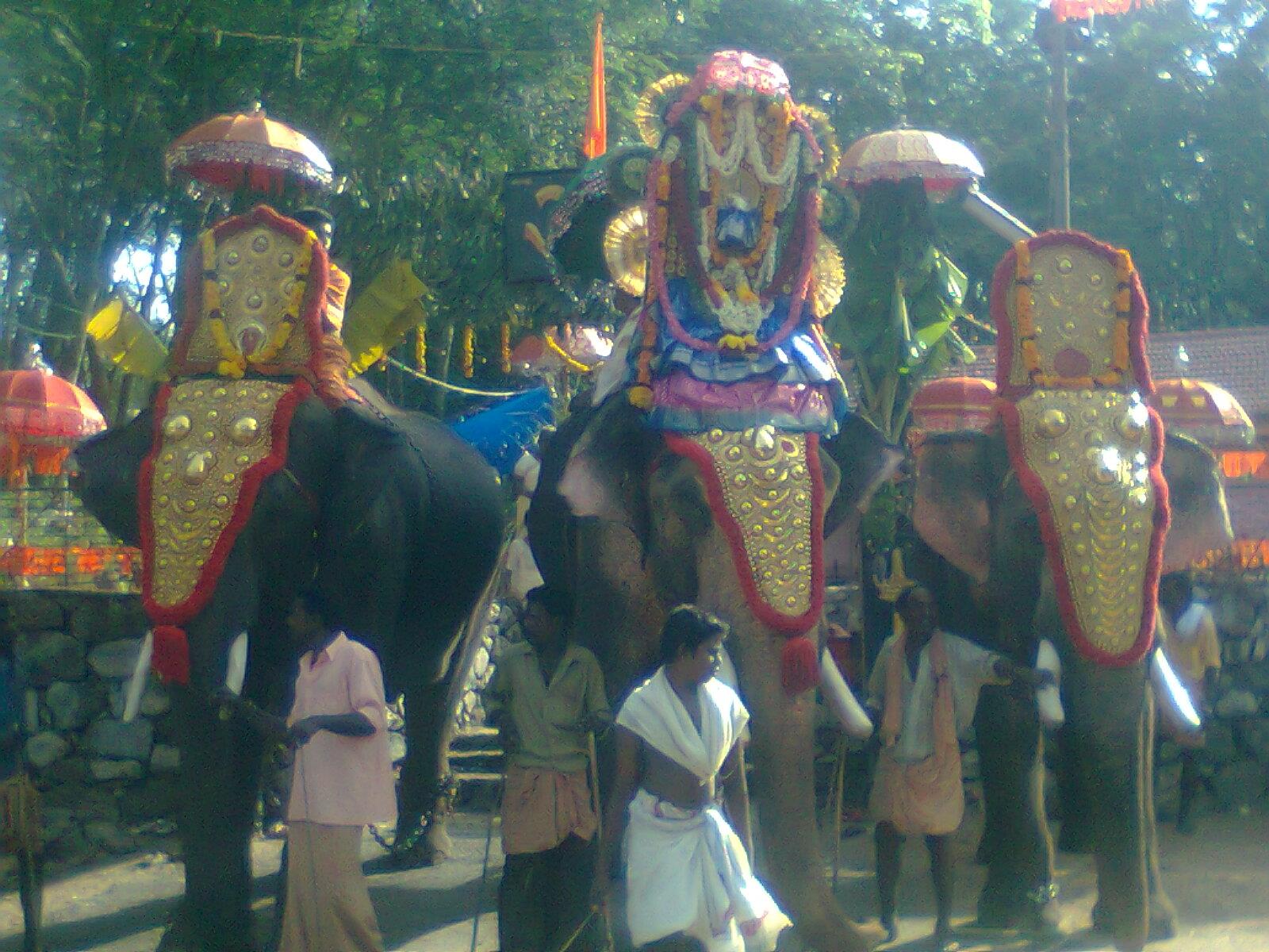  Kodiyattukavu Bhadrakali   Temple Alappuzha Dresscode