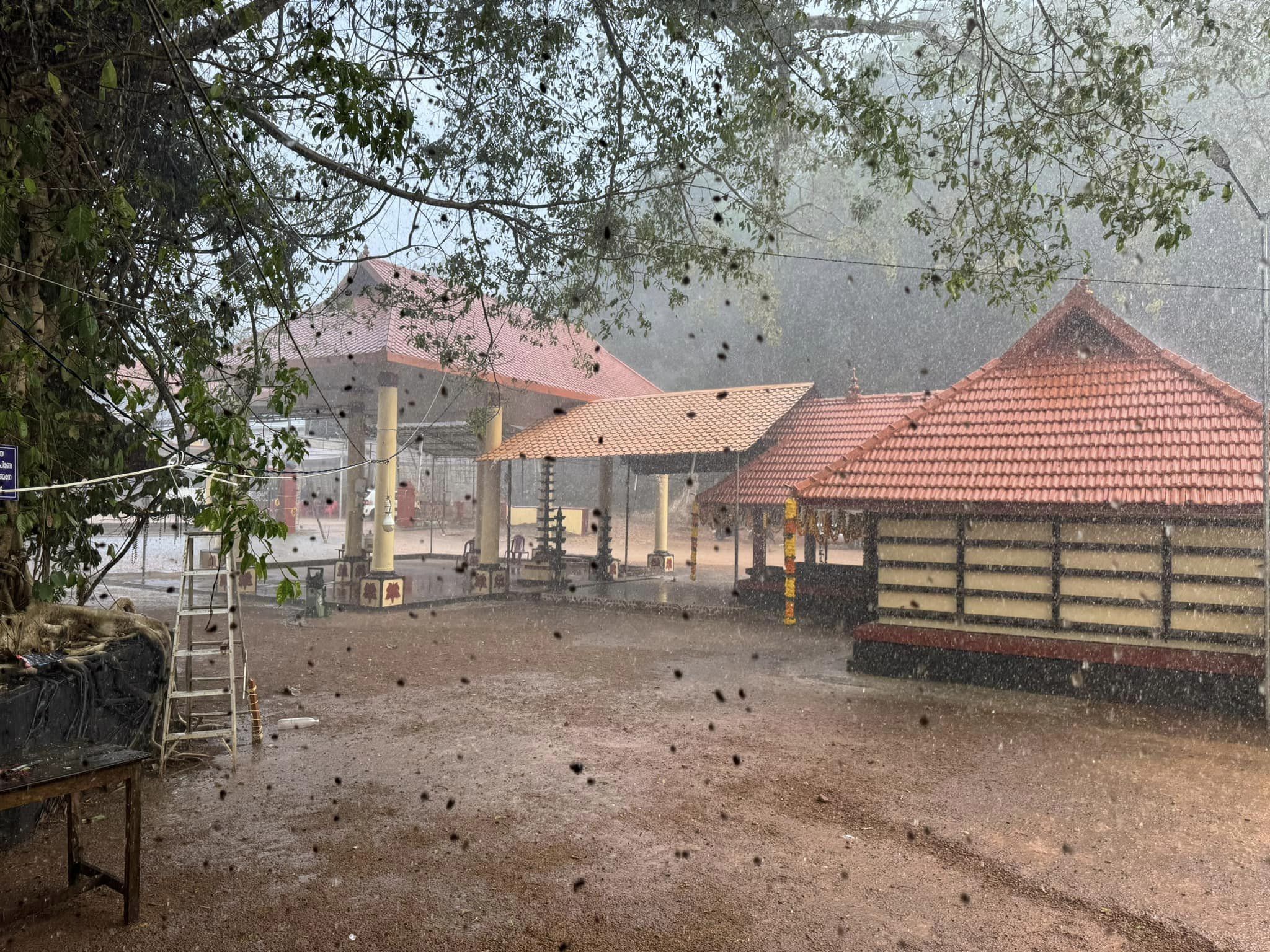  Punthalaveettil  Devi Temple Pathanamthitta