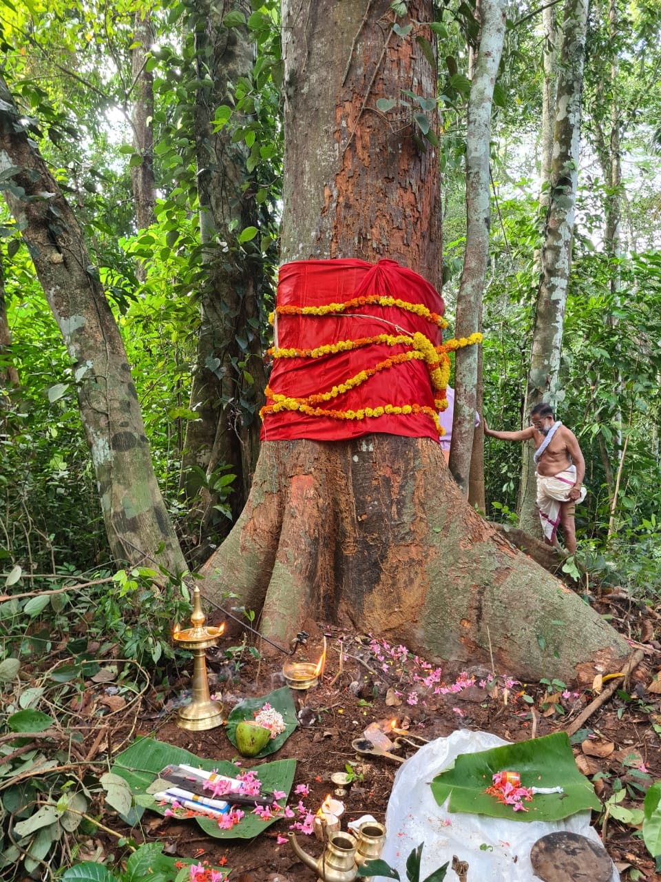 Malayarikkunnu Malankavu Sree Dharmasastha Temple Pathanamthitta Dresscode