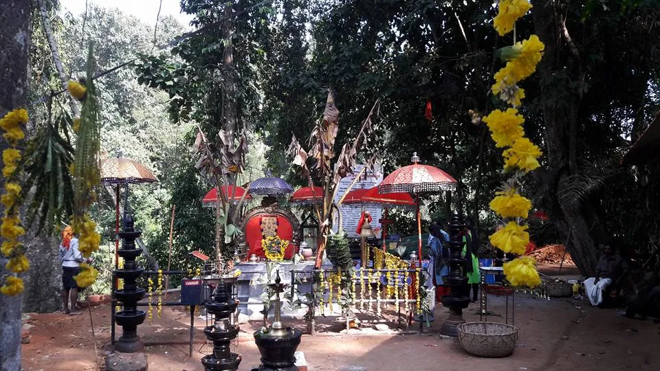 Sunrise worship and Aditya Pongala at Sree Kallely Oorali Appooppan Kavu