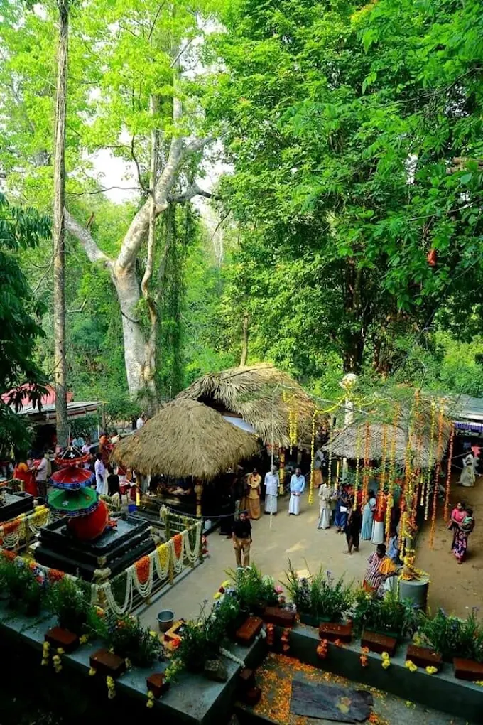 Scenic view of Achankovil River near Sree Kallely Oorali Appooppan Kavu temple