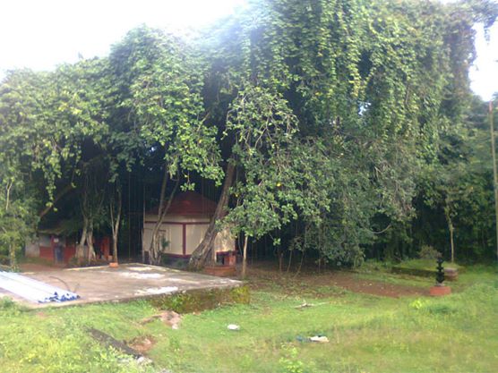  Parakkal Sree Durga Devi Temple in Kerala