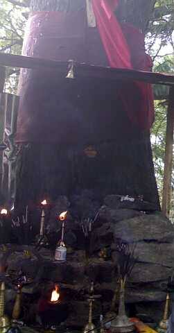 Images of Thrissur Kanakamala Sri Ayiravalli Devi Temple