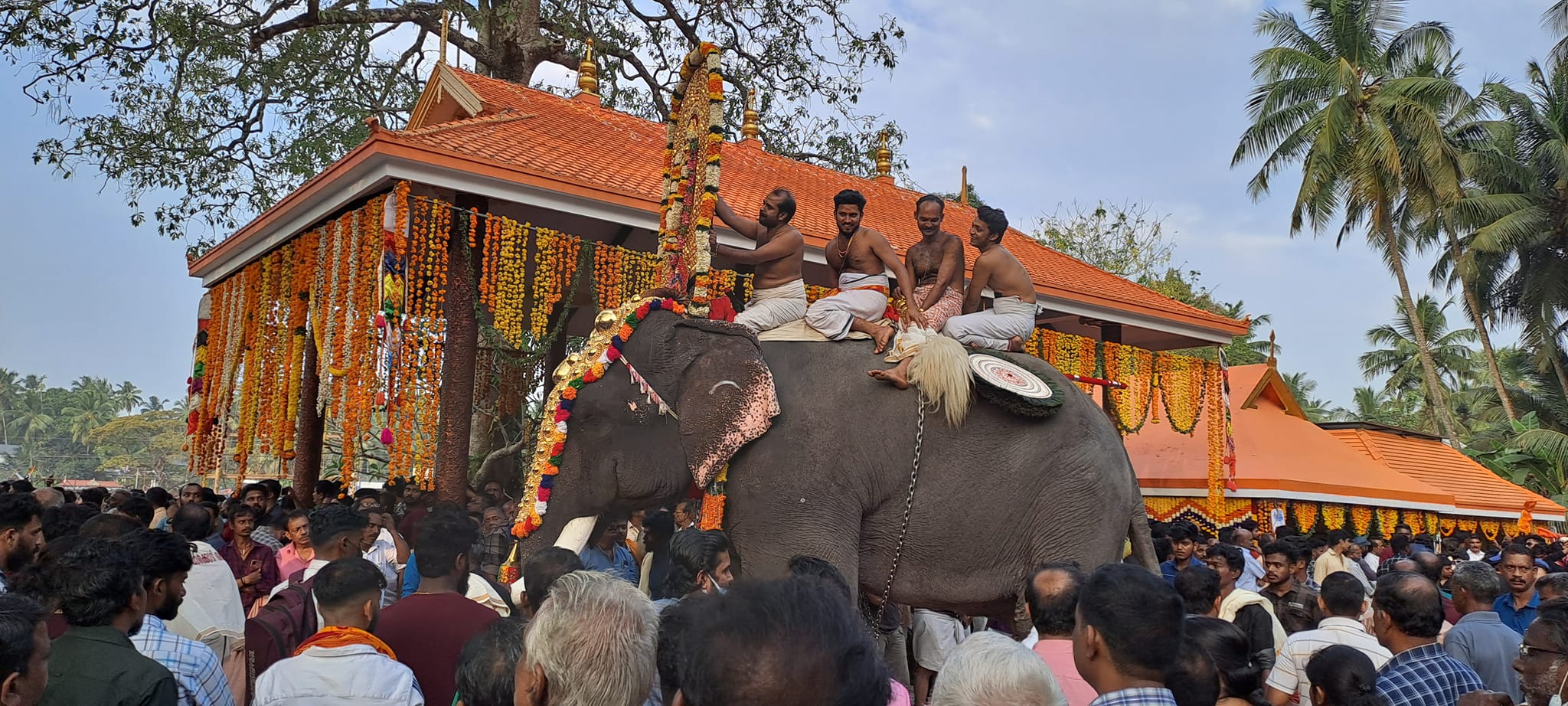 Images of Thrissur Parkkadi Bhagavathy  Temple