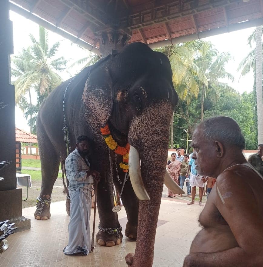  Pazhampuzha Sree Mahavishnu  Temple in Kerala